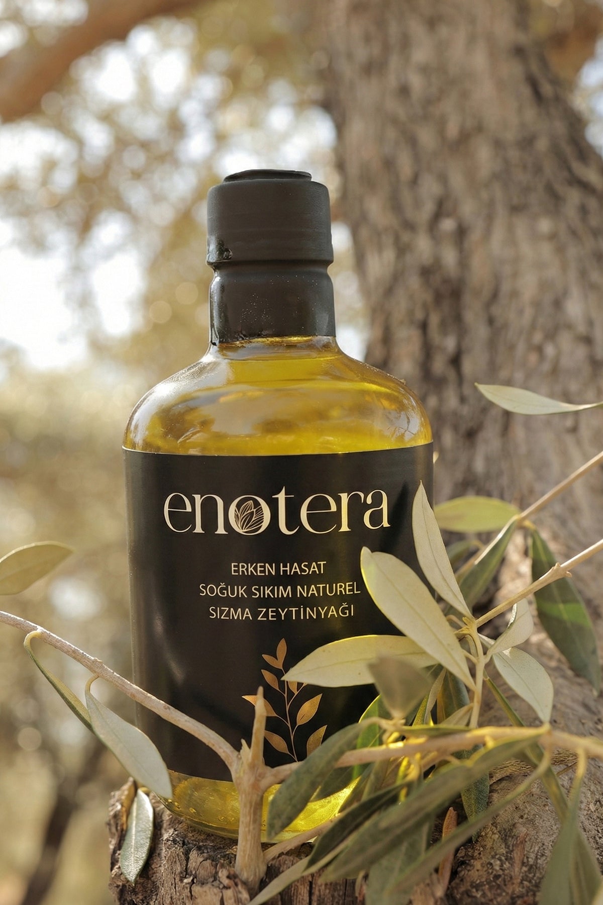 Erken Hasat Soğuk Sıkım Natürel Sızma  Zeytinyağı 500 Ml