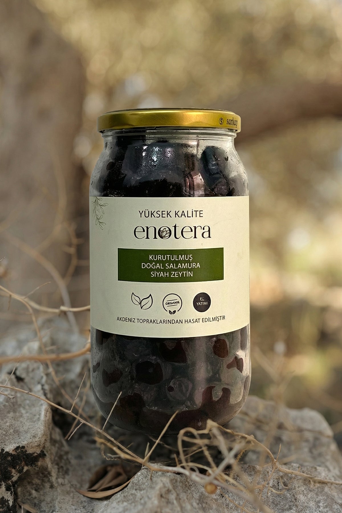 Sele Siyah Zeytin 1000 Gr